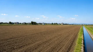 加須市｜農地改良工事（天地返し）｜10,732㎡