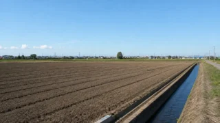 鴻巣市｜農地改良工事（天地返し）｜10,000㎡