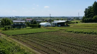 さいたま市｜農地改良工事（天地返し）｜2,000㎡